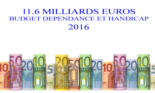 Illustration article Budget handicap 2016 : stable avec 11,6 milliards d'euros