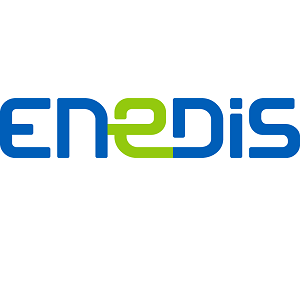 Logo de l'entreprise ENEDIS