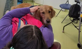 Soins dentaires et handicap: Scully, une assistante au poil!