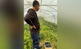 Agriculteur handicapé : le dur labeur de Sébastien