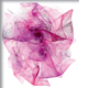 image produit