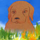 image produit