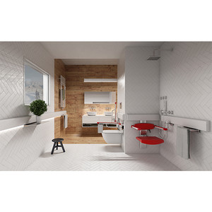 Aménagement de salle de bain adaptée : Profilo-Smart (image 1)
