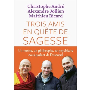 Trois amis en quête de sagesse (image 1) 