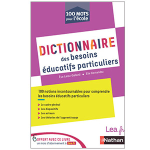 Dictionnaire des besoins éducatifs particuliers (image 1) 