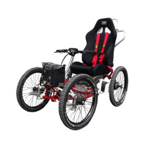 Fauteuil électrique tout terrain E-Buggy (image 1) - Cliquez pour la voir en plus grand, dans une nouvelle fenêtre. Fauteuil électrique tout terrain E-Buggy (image 1)