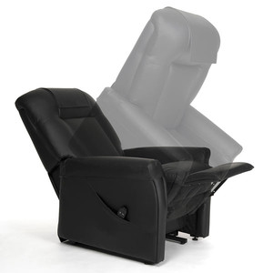 Fauteuil Releveur Ontario 1 (image 1)