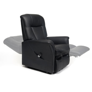 Fauteuil Releveur Ontario 2 (image 1)