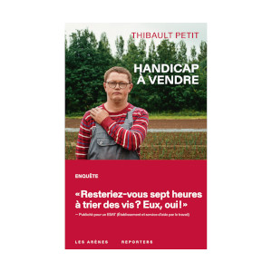 Handicap à vendre (image 1) 