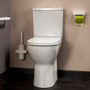 Cuvette WC surélevée (image 1) - Cliquez pour la voir en plus grand, dans une nouvelle fenêtre. Cuvette WC surélevée (image 1)