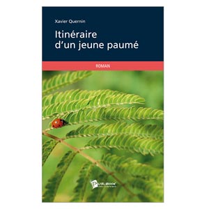 Itinéraire d'un jeune paumé (image 1) 