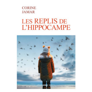 Les replis de l'hippocampe (image 1) 