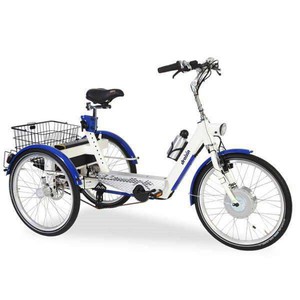 Tricycle thérapeutique enfant / adulte Trici Ecoline (image 1)