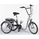 Tricycle Tonicross Liberty (miniature 1) 