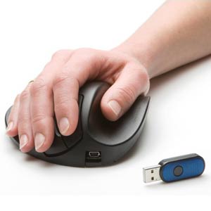 Image Souris ergonomique sans fil Horse Mouse