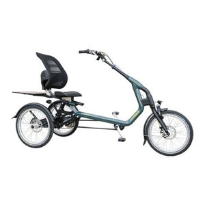 Tricycle adulte Easy Rider (image 1)