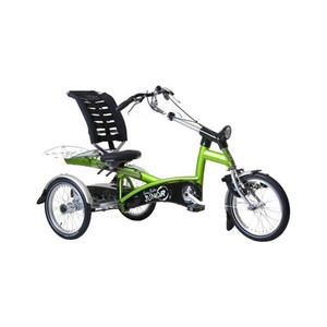 Image Tricycle Easy Rider junior