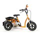 Tricycle 2202 Safari (miniature 1) 