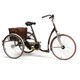 Tricycle 2219 Vintage (miniature 1) 