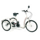 Tricycle 2217 Freedom (miniature 2) 